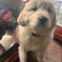 4e78ac9f-1dfa-4750-8399-6820078e4100 (1)