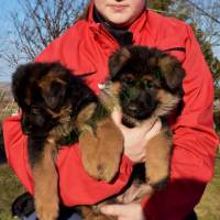 e7052ff3-89e4-4c12-98e3-18d5808797dc