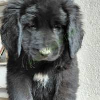 696553ac-5e6e-4a64-b794-61469a9091e3