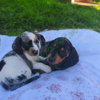 8528d9d3-efcd-4c44-9bce-bc255340cb5d