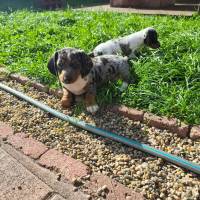 f014cd3e-e1db-400b-982e-0f1f87e19c61