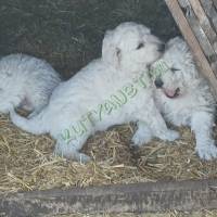 59367111-9913-4d59-bb38-2068677ac566