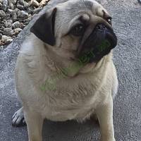 5151