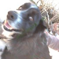 1000020988