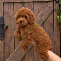 aviber_image_2026-10-14_19-30-43-640