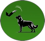 Tánc parancs