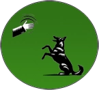 Pápá parancs