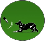 Kúszik parancs