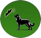 Gyere parancs