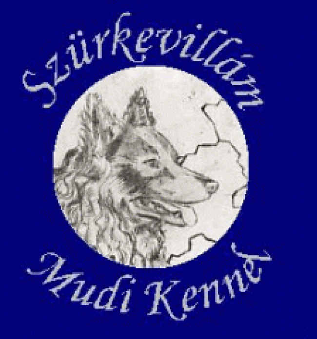 Mudi tenyésztő