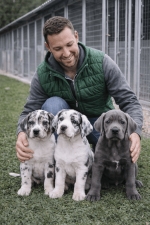 Megbízható tenyésztő kölyökkutyákkal