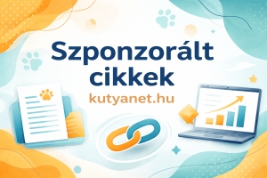 Szponzorált cikkek